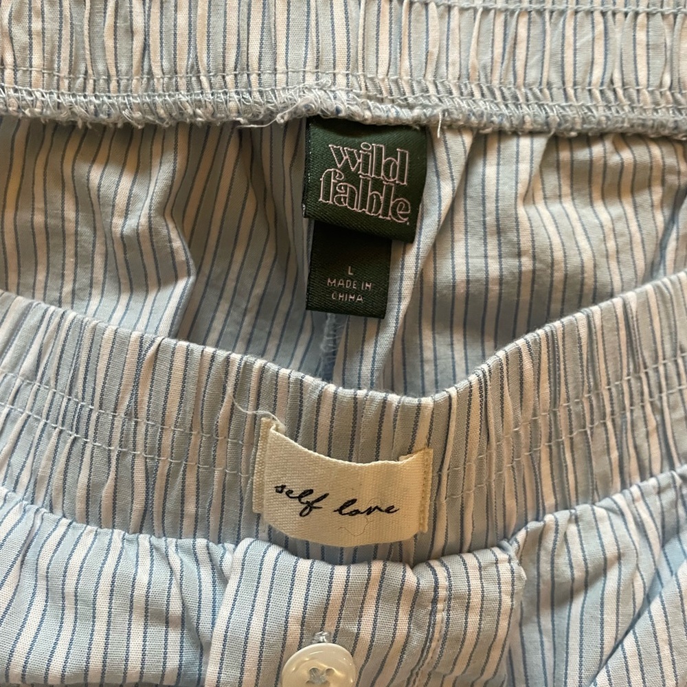 Wild Fable Light Blue Striped Shorts - Picture 4 of 4